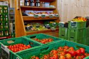 Kiste mit Tomaten, Regal mit Obst, Biosaft und Biobier